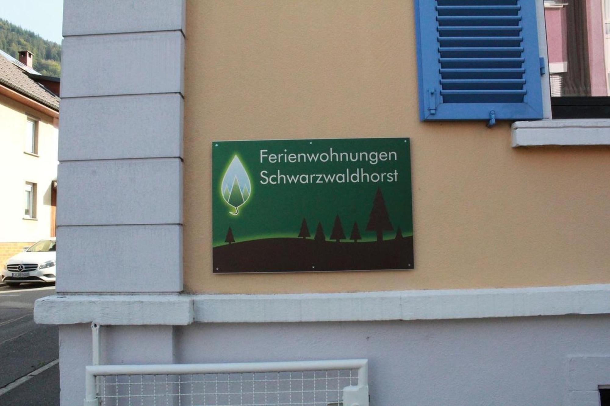 Schwarzwaldhorst 1 Fuer 8 Gaeste In Todtnau, Liftverbund Feldberg Exterior foto